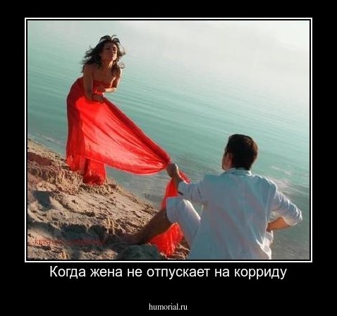Когда жена не отпускает на корриду