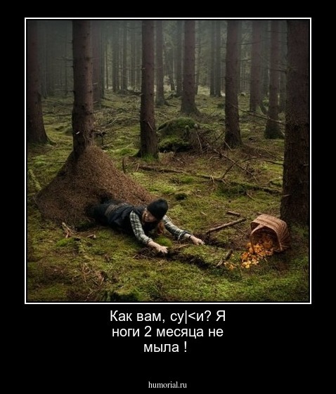 Как вам, су|<и? Я ноги 2 месяца не мыла !