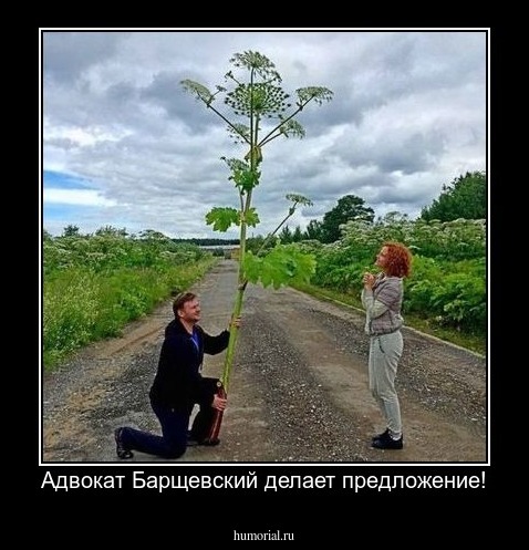 Адвокат Барщевский делает предложение!