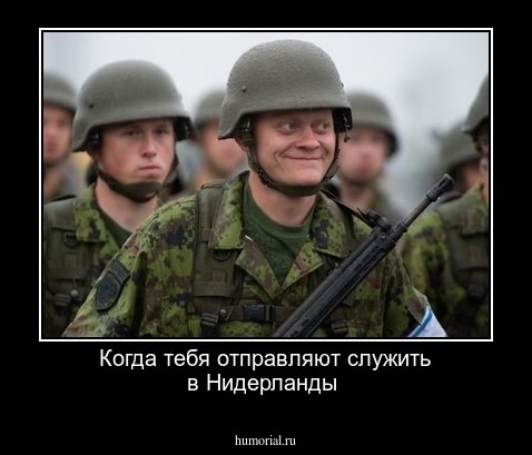 Когда тебя отправляют служить в Нидерланды