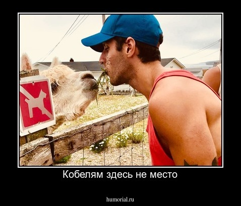 Кобелям здесь не место