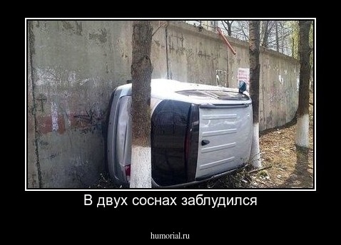 В двух соснах заблудился