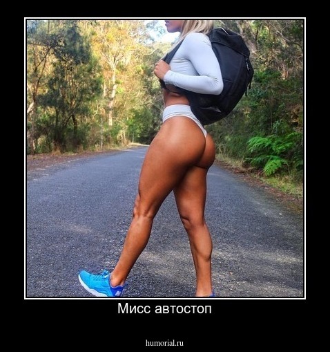 Мисс автостоп