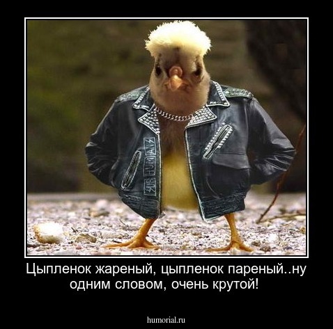 Цыпленок жареный, цыпленок пареный..ну одним словом, очень крутой!