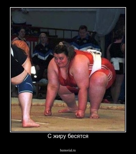 С жиру бесятся