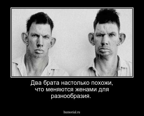 Два брата настолько похожи, что меняются женами для разнообразия.