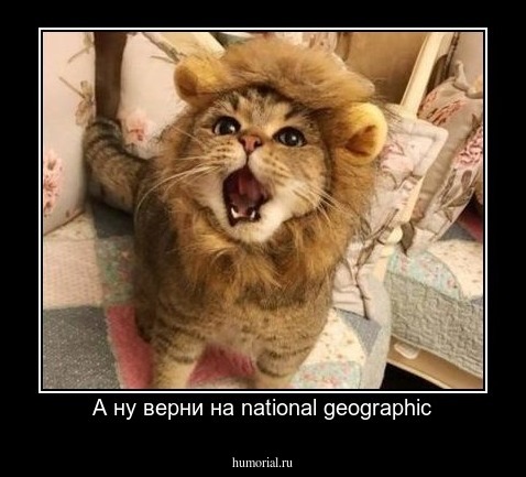 А ну верни на national geographic