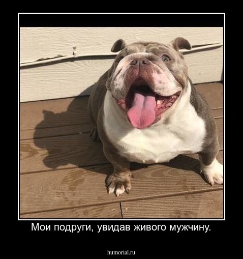 Мои подруги, увидав живого мужчину.