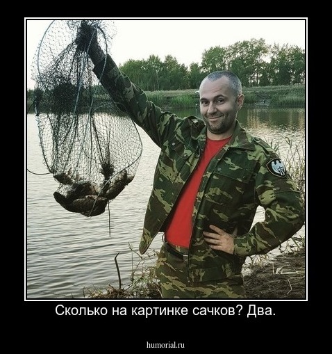 Сколько на картинке сачков? Два.