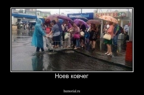 Ноев ковчег