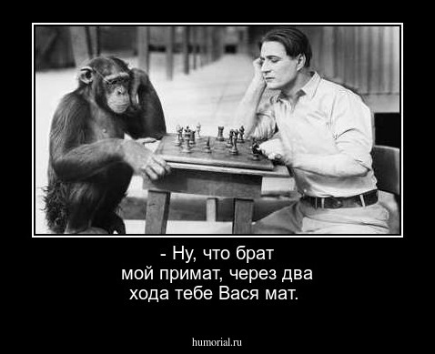 - Ну, что брат мой примат, через два хода тебе Вася мат.    