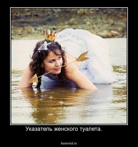 Указатель женского туалета.      