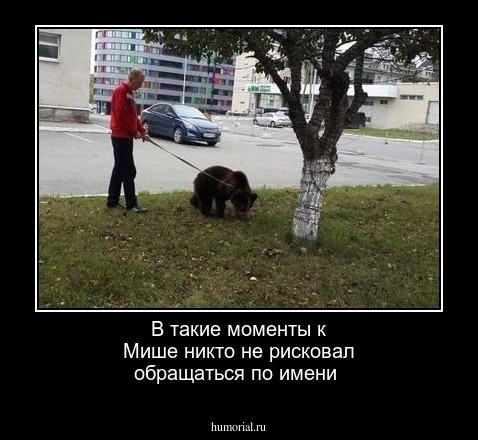 В такие моменты к Мише никто не рисковал обращаться по имени