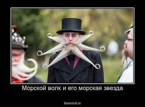 Морской волк и его морская звезда
