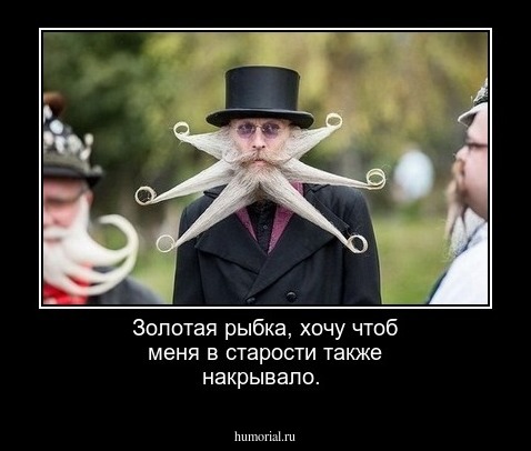 Золотая рыбка, хочу чтоб меня в старости также накрывало.