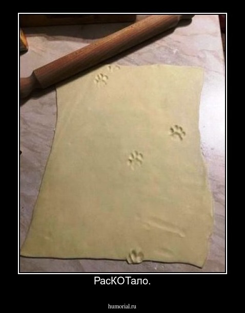 РасКОТало.