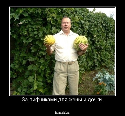 За лифчиками для жены и дочки.