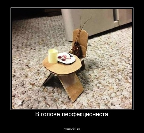 В голове перфекциониста