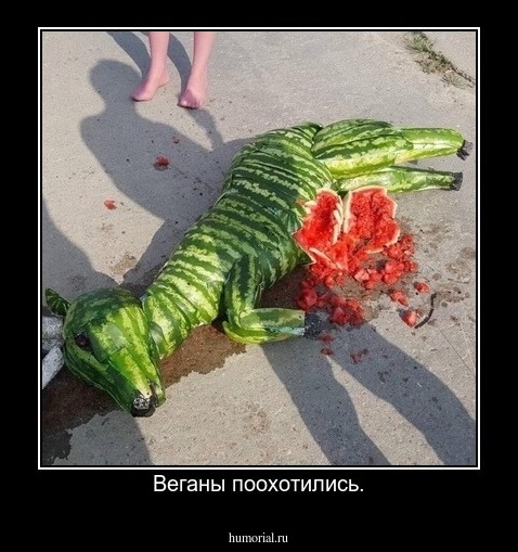 Веганы поохотились.