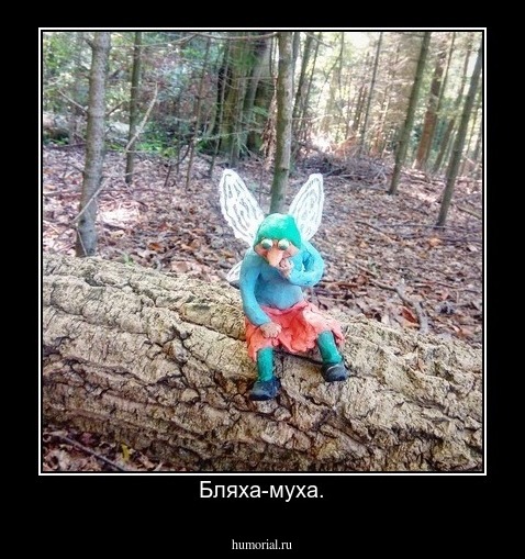 Бляха-муха.