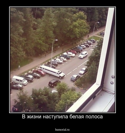 В жизни наступила белая полоса