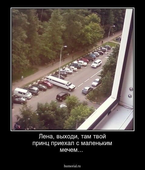 Лена, выходи, там твой принц приехал с маленьким мечем...