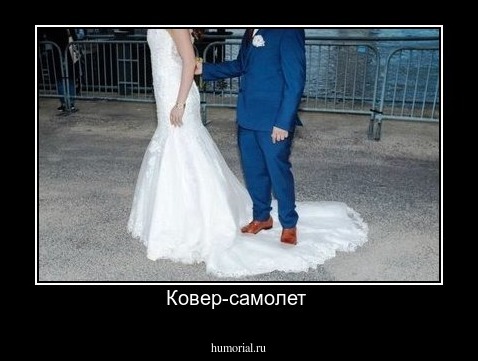 Ковер-самолет 