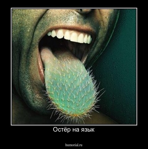 Остёр на язык