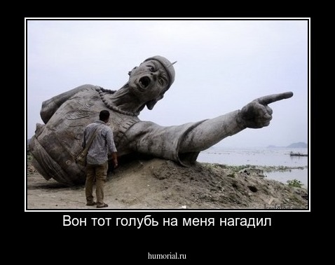 Вон тот голубь на меня нагадил