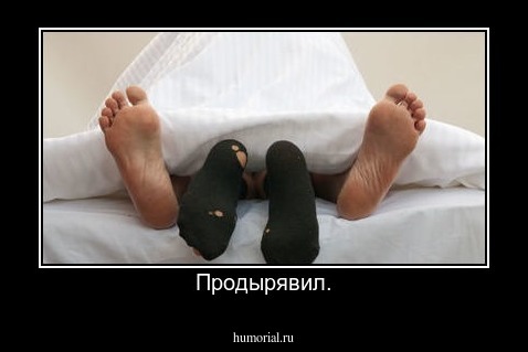 Продырявил.