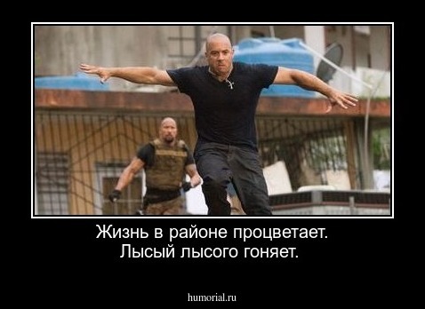 Жизнь в районе процветает. Лысый лысого гоняет.