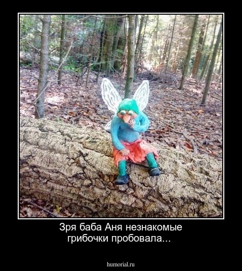 Зря баба Аня незнакомые грибочки пробовала...