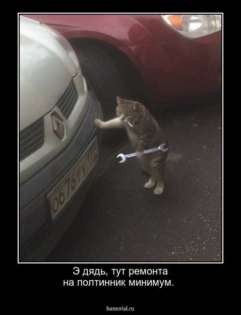 Э дядь, тут ремонта на полтинник минимум.