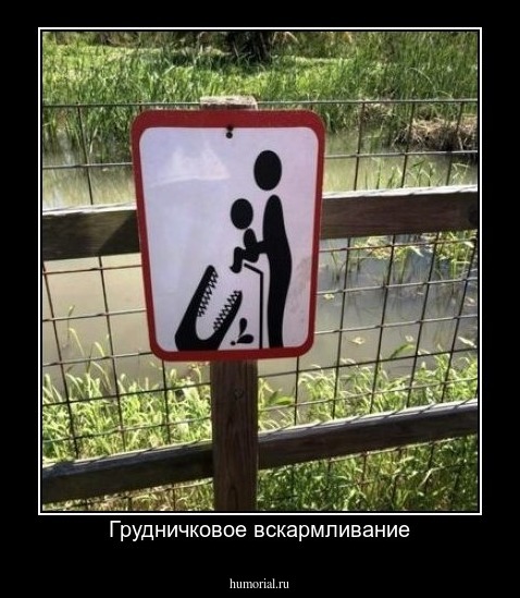 Грудничковое вскармливание