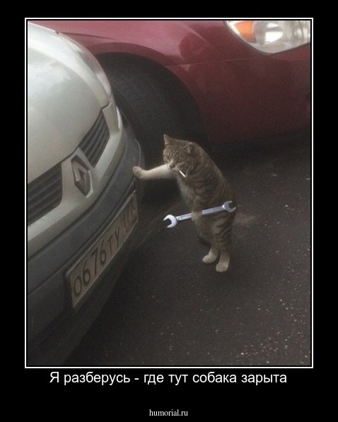 Я разберусь - где тут собака зарыта