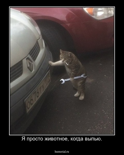 Я просто животное, когда выпью.