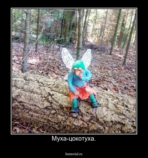 Муха-цокотуха.