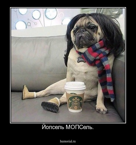 Йопсель МОПСель.