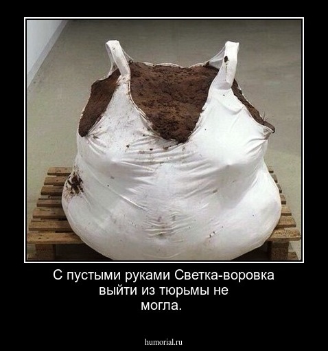 С пустыми руками Светка-воровка выйти из тюрьмы не могла. 