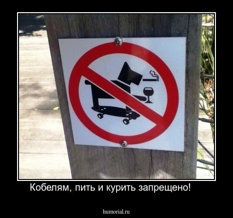 Кобелям, пить и курить запрещено!    