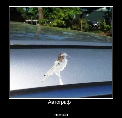 Автограф  