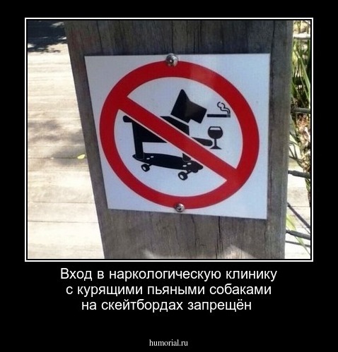Вход в наркологическую клинику с курящими  пьяными  собаками на  скейтбордах  запрещён
