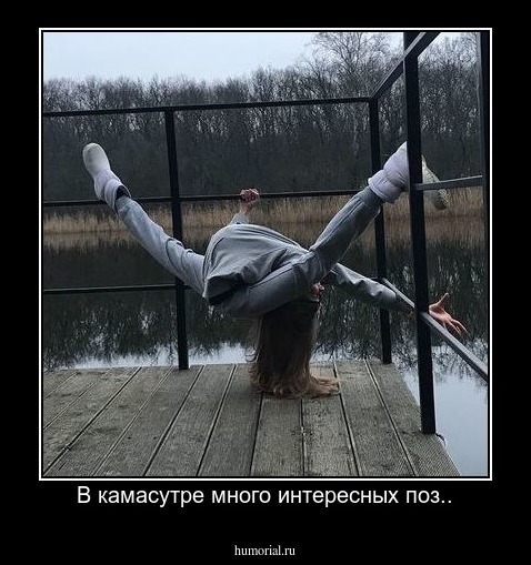 В камасутре много интересных поз..