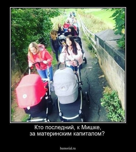 Кто последний, к Мишке, за материнским капиталом?