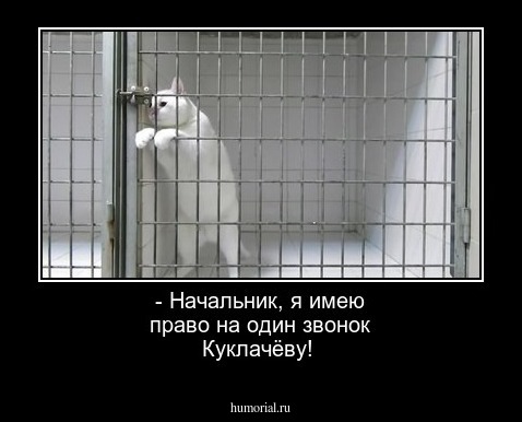 - Начальник, я имею право на один звонок Куклачёву!