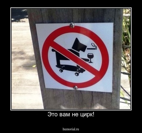 Это вам не цирк!