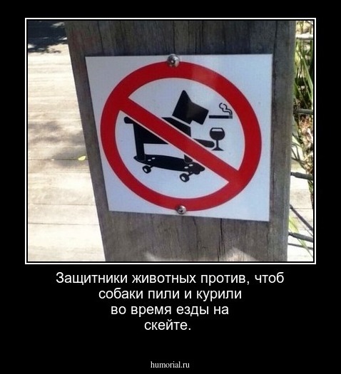 Защитники животных против, чтоб собаки пили и курили во время езды на скейте.