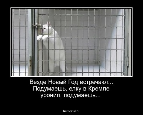 Везде Новый Год встречают... Подумаешь, елку в Кремле уронил, подумаешь...