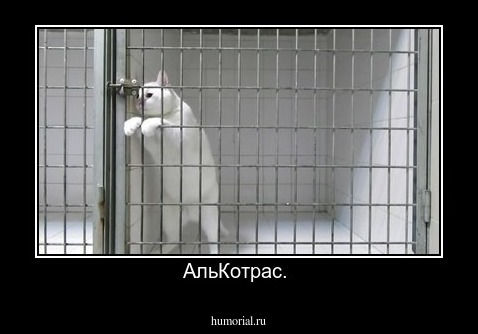АльКотрас. 