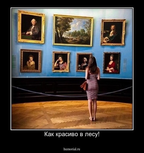 Как красиво в лесу!